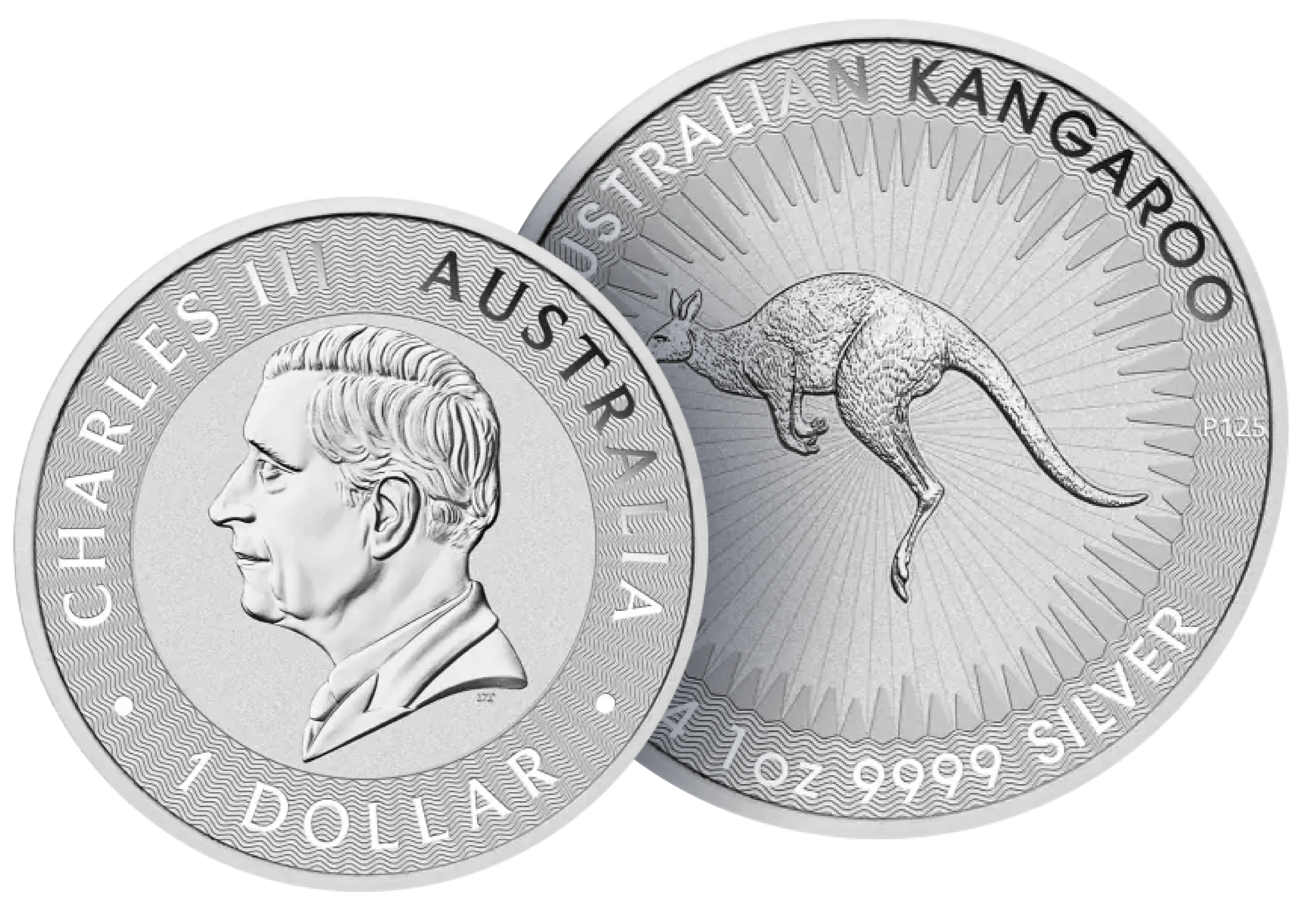 Đồng Bạc Kangaroo 1 OZ 2024 (8.3 Chỉ)
