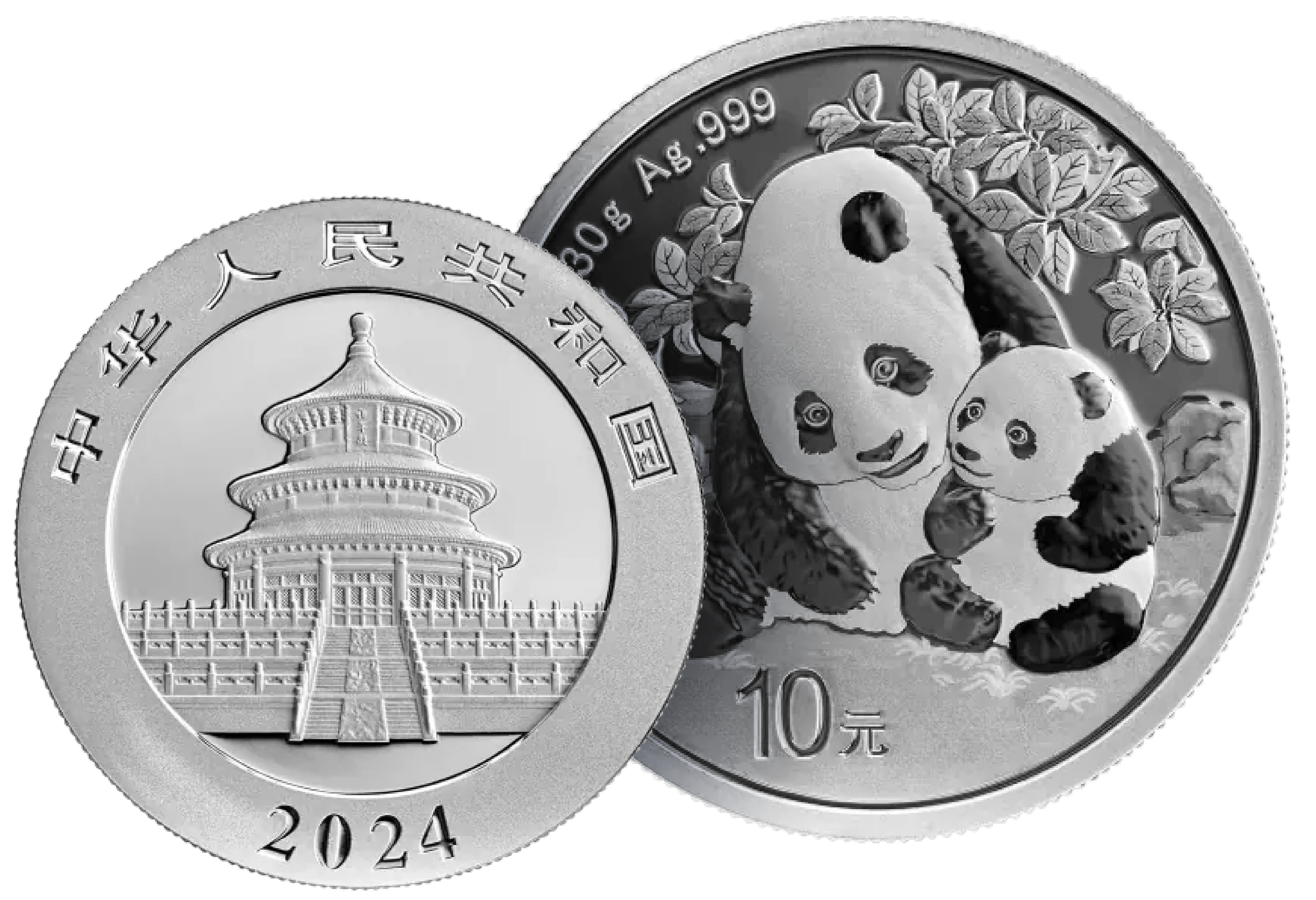 Đồng Bạc Panda 30g 2024 (8.0 Chỉ)